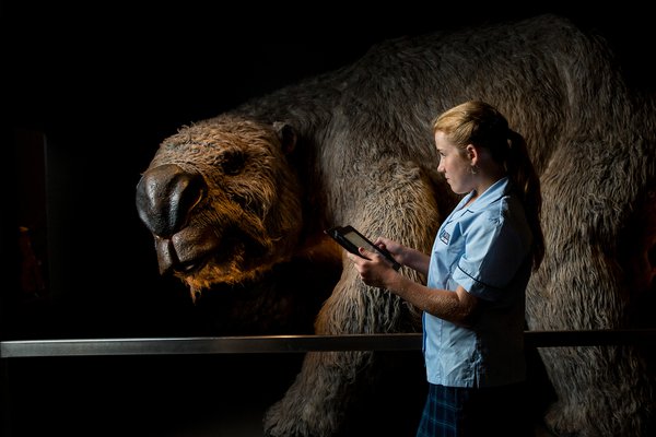 School girl looking at megafauna display