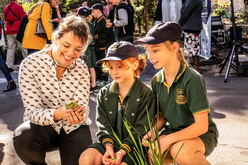 Frog Pond launch with Bunnings