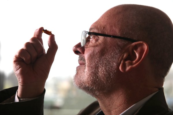 Professor Tim Flannery with the opalised jaw of one of the oldest monotremes in Australia.