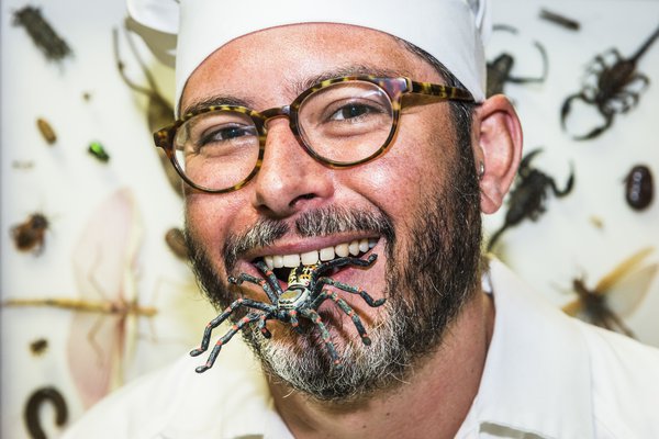 Bug Chef - CultureUpLate2017