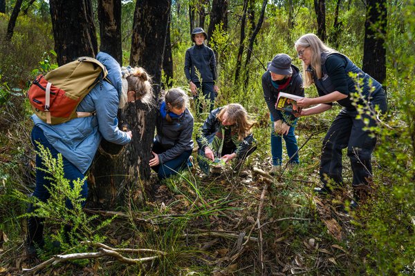 Department of Industry, Science and Resources Eureka Prize for Innovation in Citizen Science finalist, Fungimap Inc., Murraylands and Riverland Landscape Board; Royal Botanic Gardens Victoria; and University of Adelaide