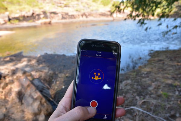 FrogID app in the Northern Territory