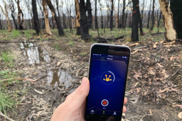 FrogID Fire Research_28 September 2020
