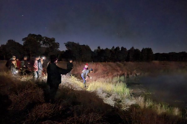 FrogID users out at night to record frogs, including the Endangered Sloane’s Froglet (Crinia sloanei) with the FrogID app.