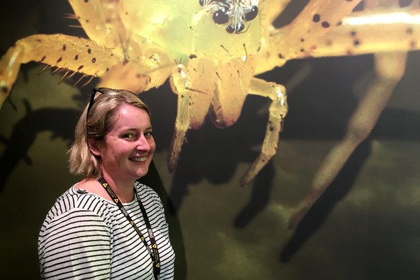Catherine Timbrell, Exhibitions Producer of Spiders