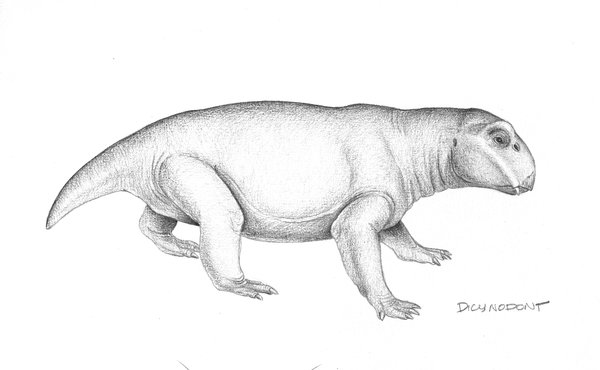 Illustration of dicynodont